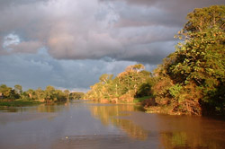 Iquitos