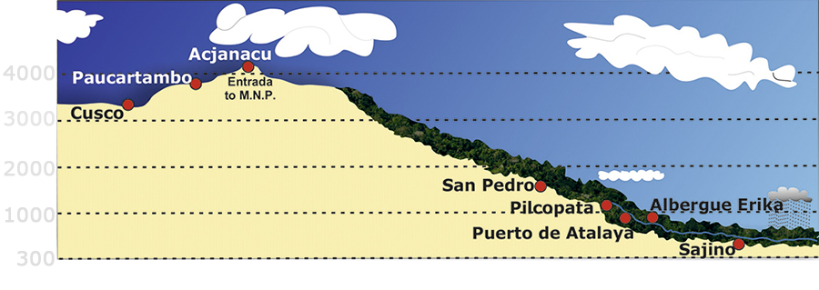 Paracas