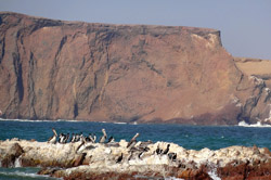 Paracas