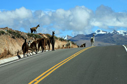 cusco