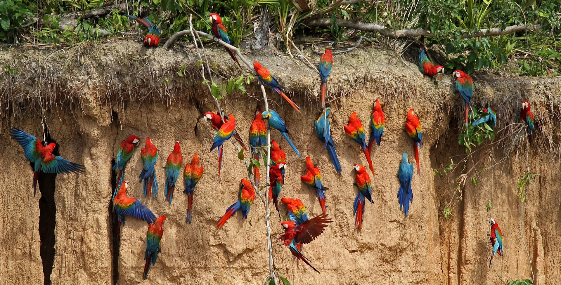 Reserva Nacional de Tambopata | Machu Picchu Peru Trip