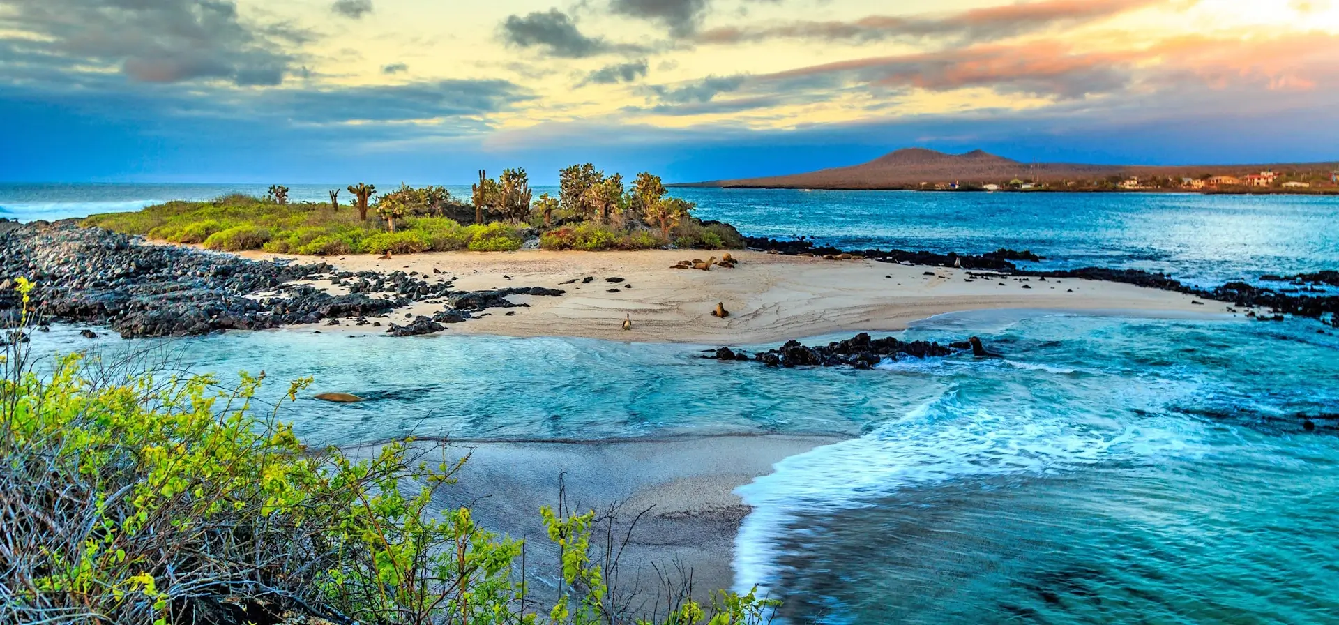 the Galápagos Isles 