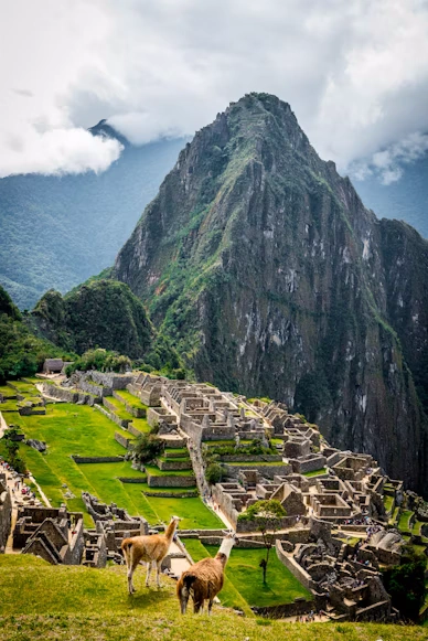 Machu Picchu | Qoricancha Expeditions