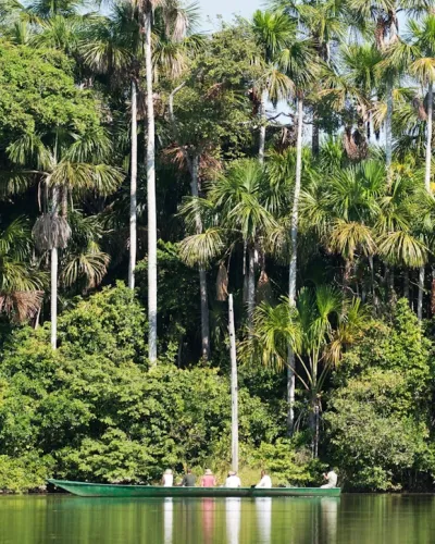 turistas-jugle-tambopata | Machu Picchu Peru Trip